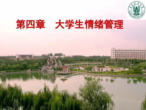 第四章  大学生情绪管理