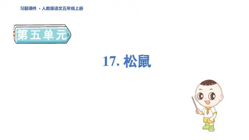 五年级语文上册17 松鼠作业 (2)