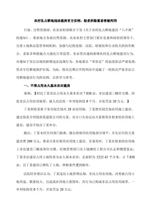 农村乱占耕地违法建房官方实例：轻者拆除重者将被判刑