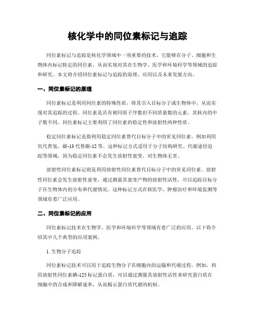 核化学中的同位素标记与追踪