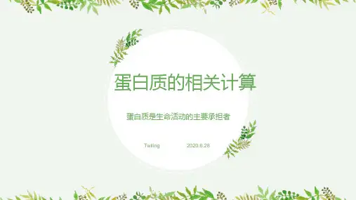 高中生物蛋白质的相关计算(新)