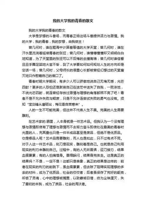 我的大学我的青春的散文
