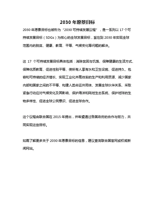 2030年愿景目标