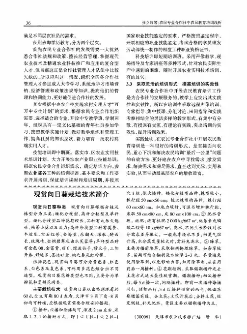 观赏向日葵栽培技术简介