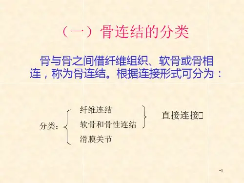 运动解剖课件关节