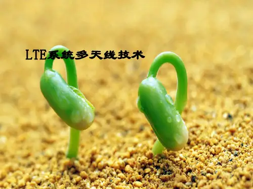 LTE系统多天线技术(MIMO与Beamforming)