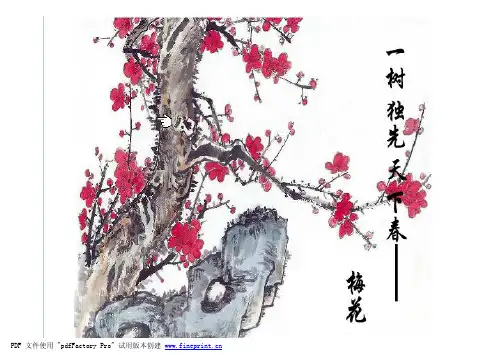 梅花品种、形态以及园林应用