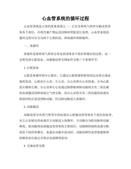 心血管系统的循环过程