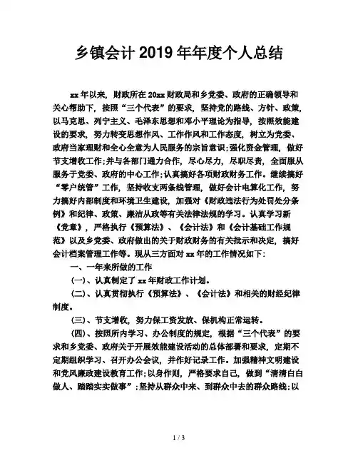 乡镇会计2019年年度个人总结