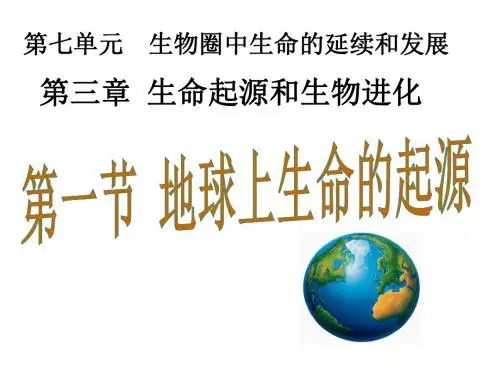 地球上生命的起源PPT优秀课件17 人教版