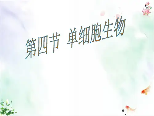 七年级生物上册《单细胞生物》课件ppt新版ppt新人教版