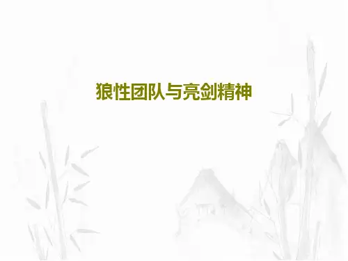 狼性团队与亮剑精神共23页文档