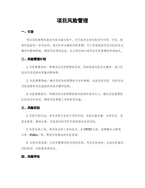 项目风险管理