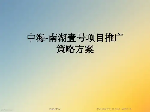 中海南湖壹号项目推广策略方案
