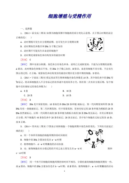 高三生物二轮复习专题3第1讲细胞增殖与受精作用
