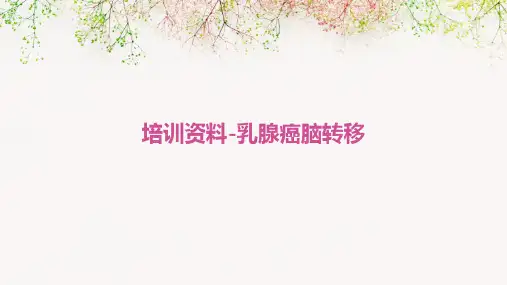 培训资料-乳腺癌脑转移