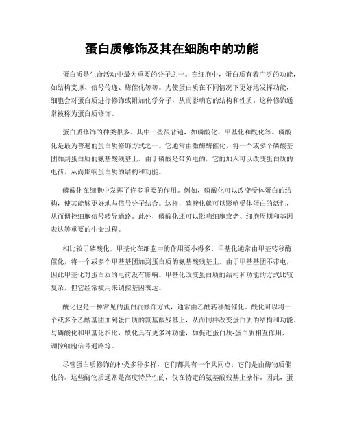 蛋白质修饰及其在细胞中的功能