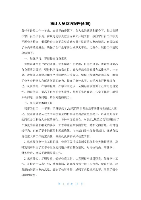 审计人员总结报告(6篇)