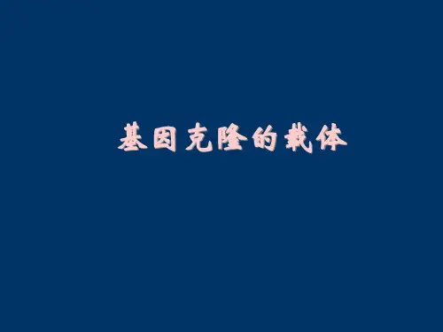 基因克隆的载体 PPT课件