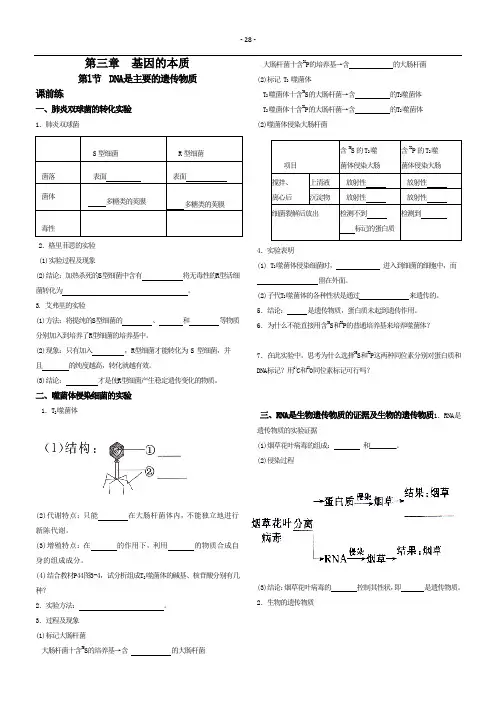 高中生物必修二第3章
