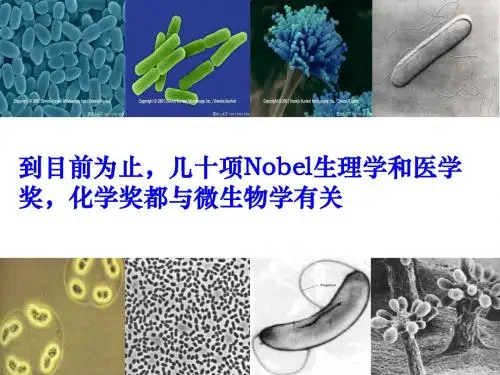 人教版高二生物选修一 2.1微生物的实验室培养(课件) (共31张PPT)