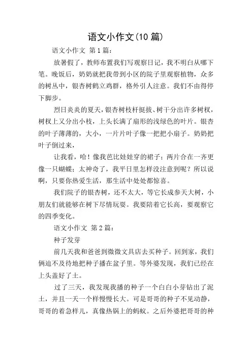 语文小作文(10篇)