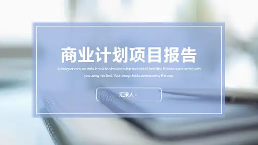 蓝色清新商业计划项目报告PPT模板