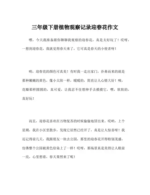 三年级下册植物观察记录迎春花作文