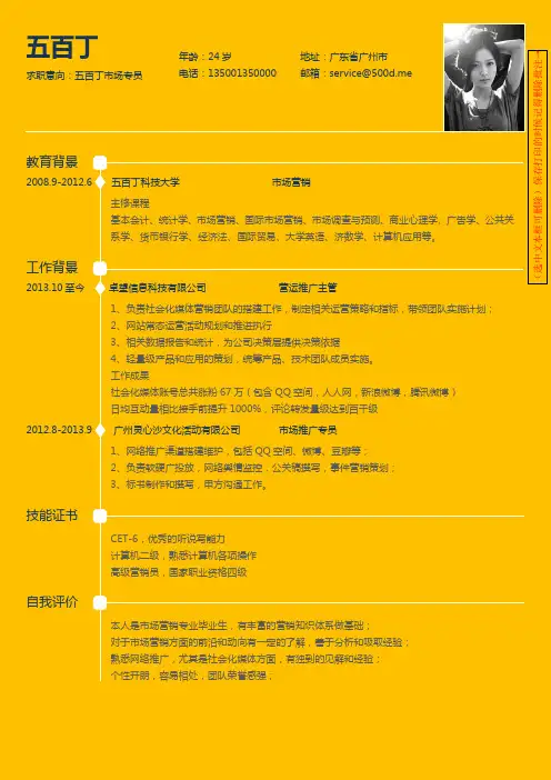 500丁个人简历