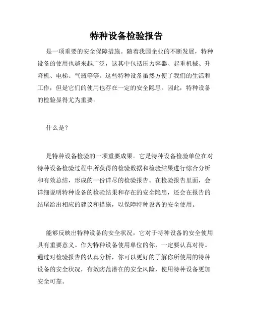 特种设备检验报告