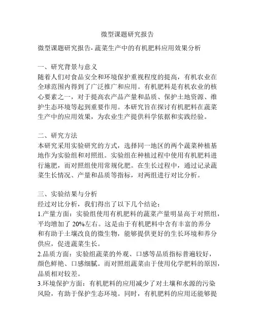 微型课题研究报告