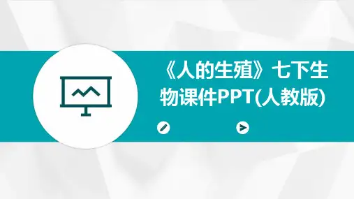 《人的生殖》七下生物课件PPT(人教版)