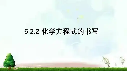 鲁教版(五四制)化学八年级全一册 5. 化学方程式的书写 课件
