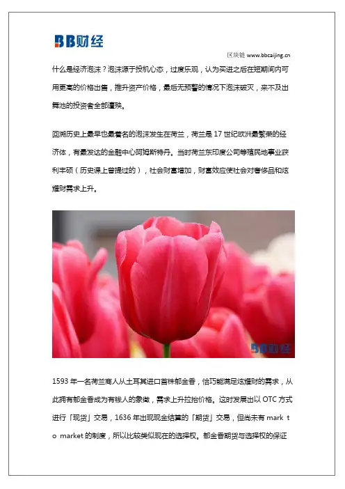 荷兰郁金香泡沫「财经小故事」