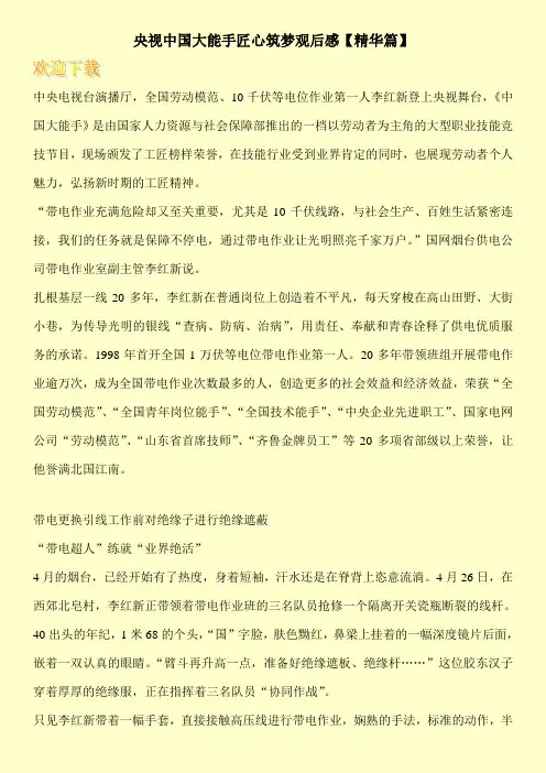 央视中国大能手匠心筑梦观后感【精华篇】