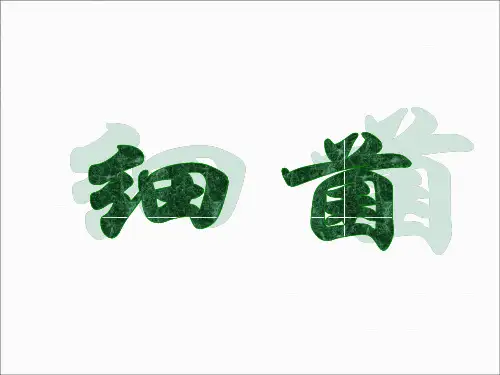 《 细菌》ppt课件
