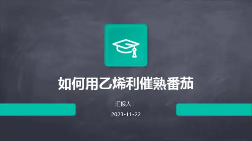 如何用乙烯利催熟番茄