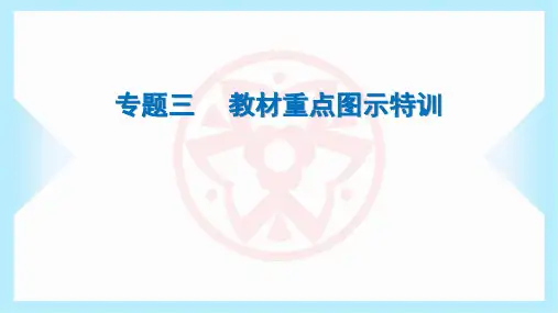 2024年北师大版七年级上册生物期末复习专题三 教材重点图示特训