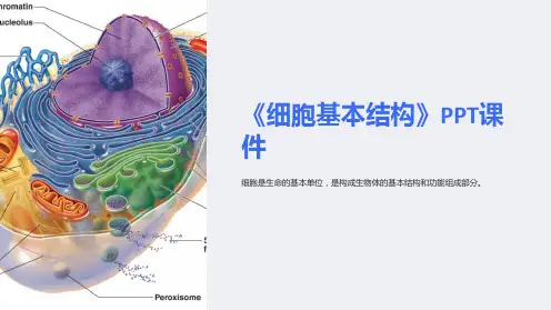 《细胞基本结构》课件