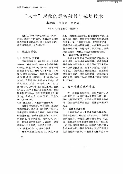 “大十”果桑的经济效益与栽培技术