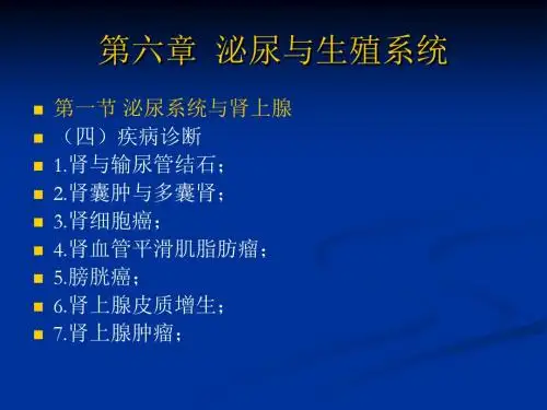 《泌尿生殖》ppt课件