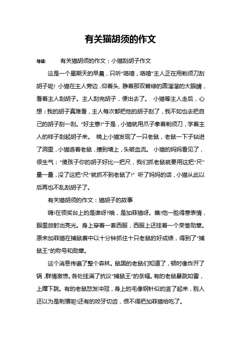 有关猫胡须的作文