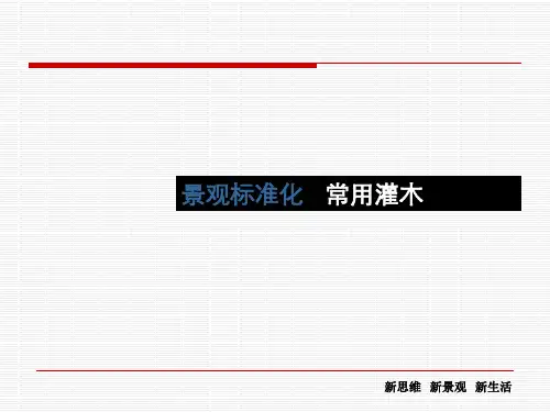 园林绿化常用灌木(图文并茂)