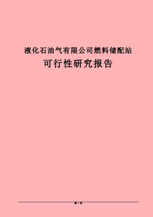 液化石油气有限公司燃料储配站项目可行性研究报告