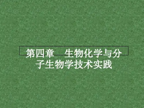 高中生物 4.1 生物成分的分离与测定技术课件 苏教版选修1