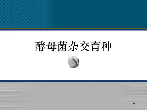 酵母菌杂交育种