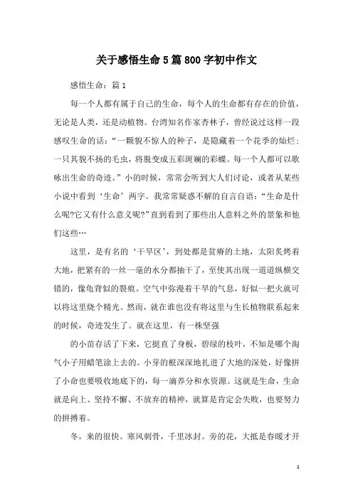 关于感悟生命5篇800字初中作文