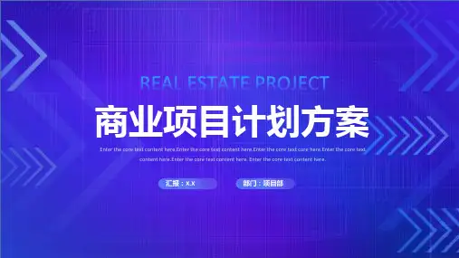 商业项目计划方案ppt