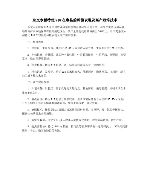 杂交水稻特优918在容县的种植表现及高产栽培技术