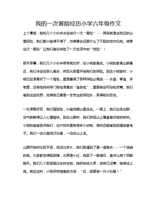 我的一次冒险经历小学六年级作文
